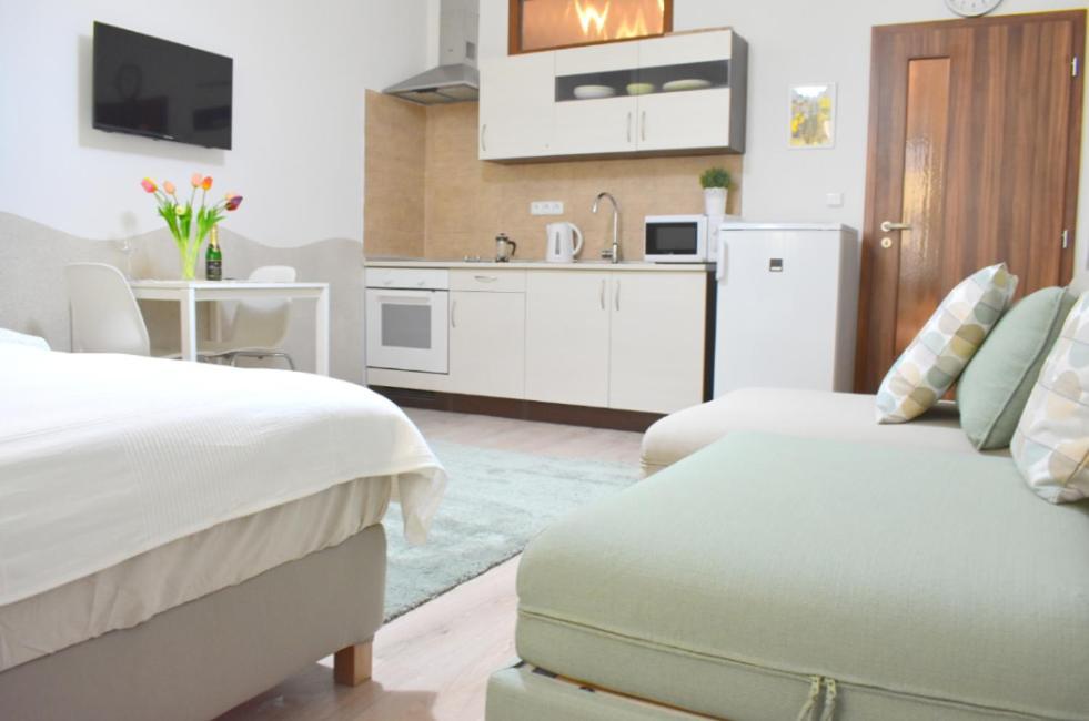 Prague City Centre Apartment — Photos 3